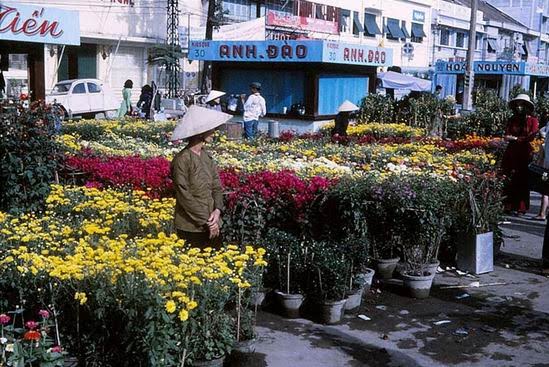 Chợ hoa Tết đường Nguyễn Huệ, Sài Gòn những năm 1960